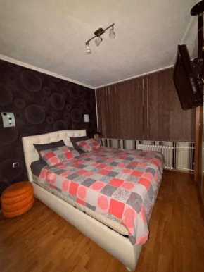 Apartment Aleksa